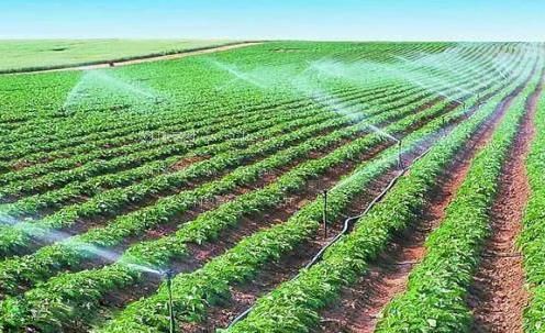 黑丝色污污农田高 效节水灌溉